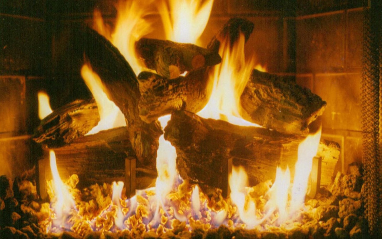 Eiklor Flames 304-2 series gas log set burning with tall, full flames